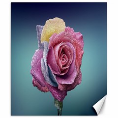 Rose Flower Love Romance Beautiful Canvas 20  X 24  by artworkshop