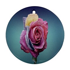 Rose Flower Love Romance Beautiful Round Ornament (two Sides) by artworkshop
