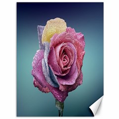 Rose Flower Love Romance Beautiful Canvas 36  X 48  by artworkshop