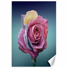 Rose Flower Love Romance Beautiful Canvas 20  X 30  by artworkshop