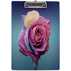 Rose Flower Love Romance Beautiful A4 Clipboard by artworkshop