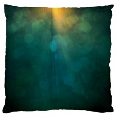 Background Green Large Flano Cushion Case (one Side)