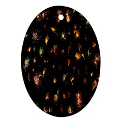Fireworks- Ornament (oval)