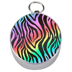 Rainbow Zebra Stripes Silver Compasses by nate14shop