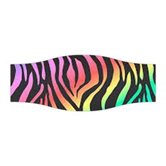 Rainbow Zebra Stripes Stretchable Headband