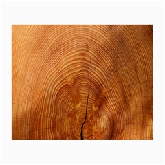 Annual Rings Tree Wood Small Glasses Cloth by artworkshop