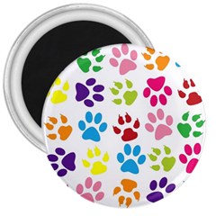 Paw Print 3  Magnets by artworkshop