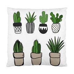 Succulents Standard Cushion Case (one Side) by nate14shop