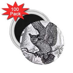 Owl-animals-wild-jungle-nature 2 25  Magnets (100 Pack) 