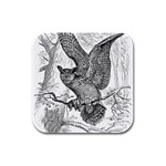 Owl-animals-wild-jungle-nature Rubber Square Coaster (4 pack) Front