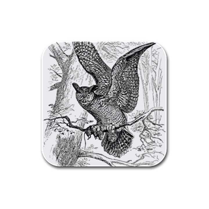 Owl-animals-wild-jungle-nature Rubber Square Coaster (4 pack)