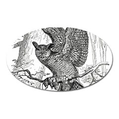 Owl-animals-wild-jungle-nature Oval Magnet