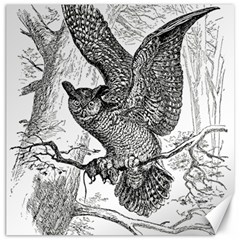Owl-animals-wild-jungle-nature Canvas 12  X 12 