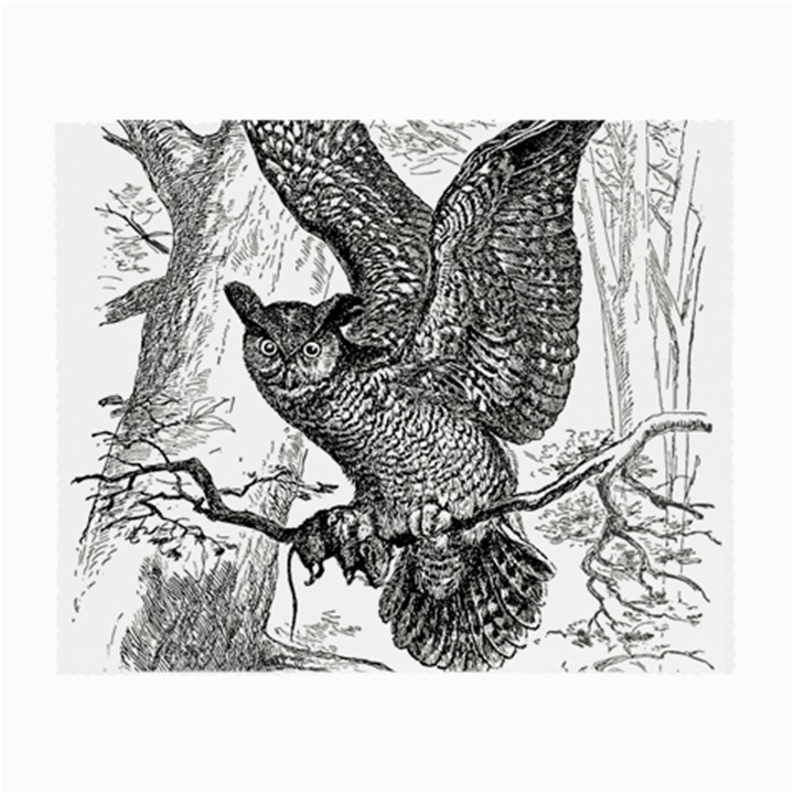 Owl-animals-wild-jungle-nature Small Glasses Cloth (2 Sides)