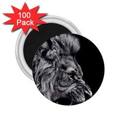 Angry Male Lion 2 25  Magnets (100 Pack) 