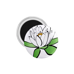 Lotus-flower-water-lily 1 75  Magnets