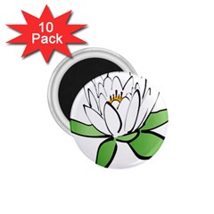 Lotus-flower-water-lily 1 75  Magnets (10 Pack) 