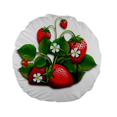 Strawberries-fruits-fruit-red Standard 15  Premium Flano Round Cushions by Jancukart