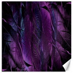 Feather Canvas 20  X 20  by artworkshop