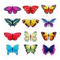 Butterflay Wooden Puzzle Square