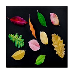 Autumn-b 001 Tile Coaster by nate14shop