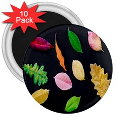 Autumn-b 001 3  Magnets (10 Pack)  by nate14shop