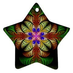Fractal-abstract-flower-floral- -- Star Ornament (two Sides)
