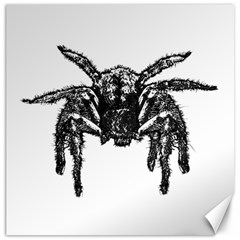 Front View Big Spider Graphic 2 Canvas 12  X 12  by dflcprintsclothing