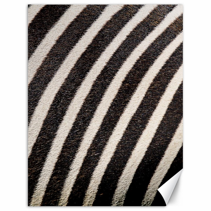  Zebra Pattern  Canvas 18  x 24 