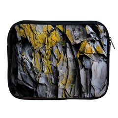 Rock Wall Crevices Geology Pattern Shapes Texture Apple Ipad 2/3/4 Zipper Cases by artworkshop