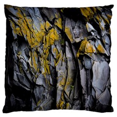 Rock Wall Crevices Geology Pattern Shapes Texture Standard Flano Cushion Case (one Side) by artworkshop