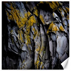 Rock Wall Crevices Geology Pattern Shapes Texture Canvas 20  X 20 
