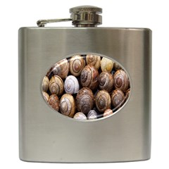 Snail Shells Pattern Arianta Arbustorum Hip Flask (6 Oz)