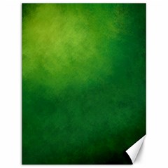 Light Green Abstract Canvas 12  x 16 