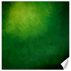 Light Green Abstract Canvas 20  x 20 