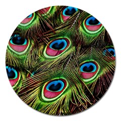 Peacock-feathers-color-plumage Magnet 5  (round) by Celenk