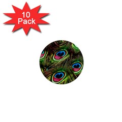 Peacock-feathers-color-plumage 1  Mini Magnet (10 Pack)  by Celenk