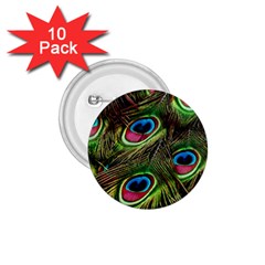 Peacock-feathers-color-plumage 1 75  Buttons (10 Pack) by Celenk