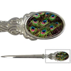 Peacock-feathers-color-plumage Letter Opener by Celenk