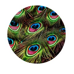 Peacock-feathers-color-plumage Mini Round Pill Box (pack Of 5) by Celenk