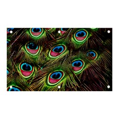 Peacock-feathers-color-plumage Banner And Sign 5  X 3  by Celenk