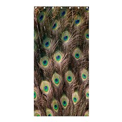 Bird-peacock Shower Curtain 36  x 72  (Stall) 