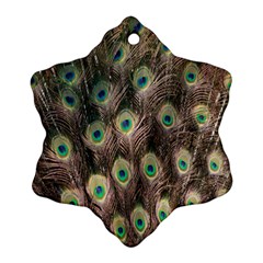 Bird-peacock Ornament (snowflake)