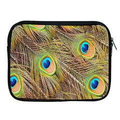 Peacock-bird Apple Ipad 2/3/4 Zipper Cases by nateshop