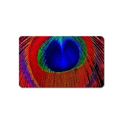 Peacock Plumage Fearher Bird Pattern Magnet (name Card) by Sapixe