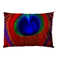 Peacock Plumage Fearher Bird Pattern Pillow Case (two Sides) by Sapixe