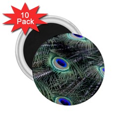 Plumage Peacock Feather Colorful 2 25  Magnets (10 Pack)  by Sapixe