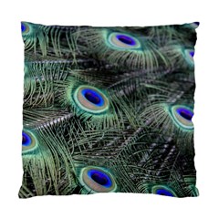 Plumage Peacock Feather Colorful Standard Cushion Case (two Sides) by Sapixe