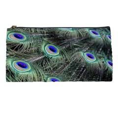 Plumage Peacock Feather Colorful Pencil Case