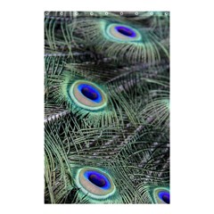 Plumage Peacock Feather Colorful Shower Curtain 48  X 72  (small)  by Sapixe